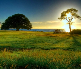  Travel agent Shimla and Travel agency Shimla have customized tour packages good hotels a well know Tour Operator Shimla