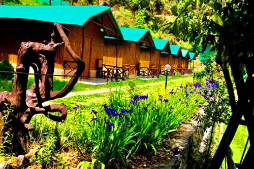 Group Tour Package