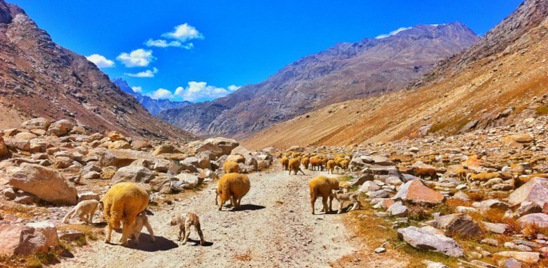 Mesmerizing Shimla By Volvo Package Mesmerizing Shimla By Volvo Package