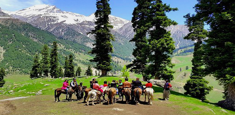 Adorable Manali Package Adorable Manali Package