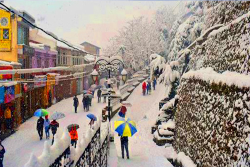 Shimla Manali Tour 