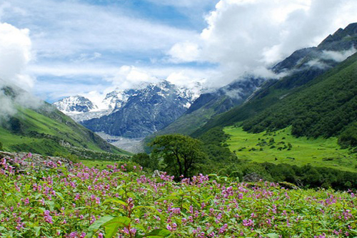 Shimla Kasol Manal Tour  