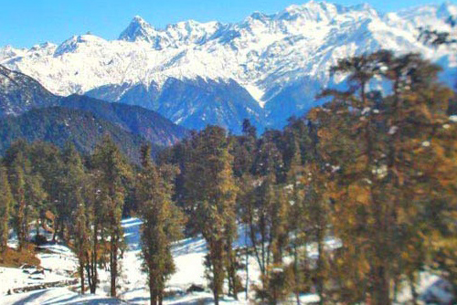 Mesmerizing Shimal Manali