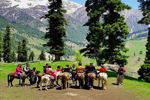   Adorable Manali Package 