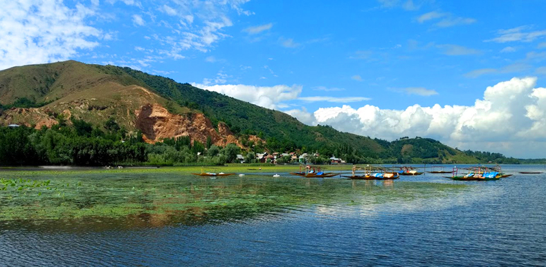 Adorable Kashmir Adorable Kashmir