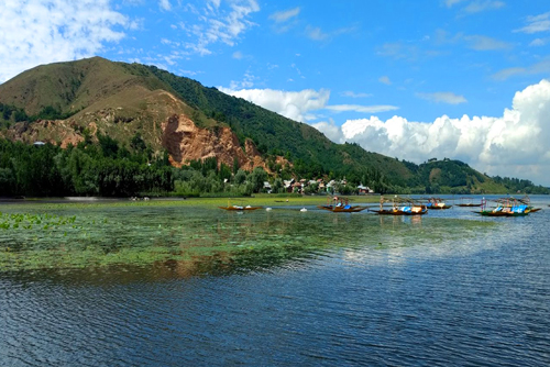  Adorable Kashmir   