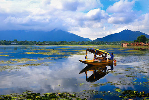  Adorable Kashmir   