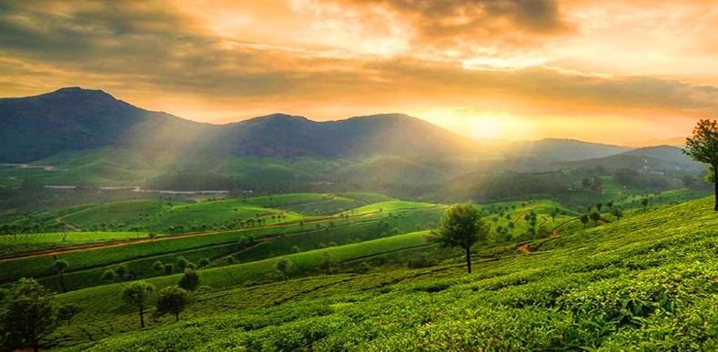 Holiday Package of Kerala Holiday Package of Kerala