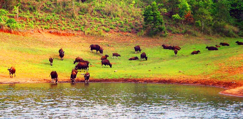 Kerala Holiday Package Kerala Holiday Package