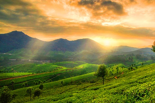Holiday Package of Kerala