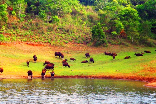 Kerala Holiday Package