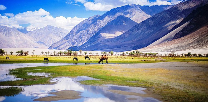 Kinnaur Manali Tour Kinnaur Manali Tour
