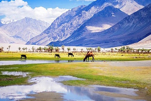 Kinnaur Manali Tour