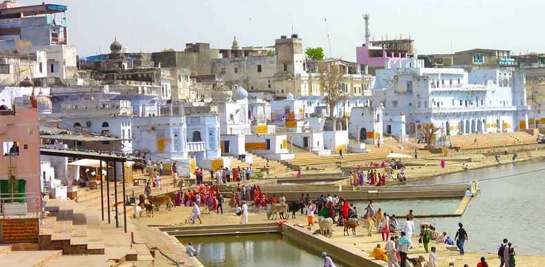  Jaipur Special 