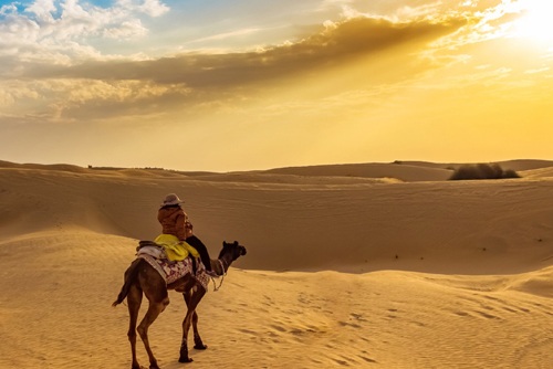 Exotic Rajasthan